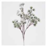 Grana cedra zasnježena 50cm