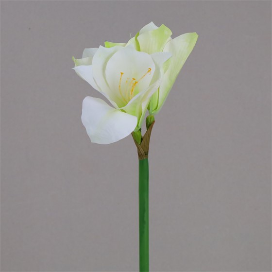 Amarilis x3 60cm bijela