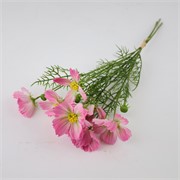 Cosmea/Uresnica buket x3 52cm roza