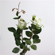 Ruža grana x5 49cm bijela