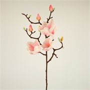 Magnolija 92cm 3c+9p sv.roza