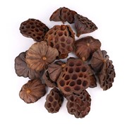 Suho: Lotus natur 6-11cm 20kom natur