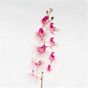 Orhideja grana 107cm bijela/sv. roza