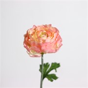 Ranunkula 51cm sv.roza