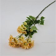 Krizantema 80cm antik krem
