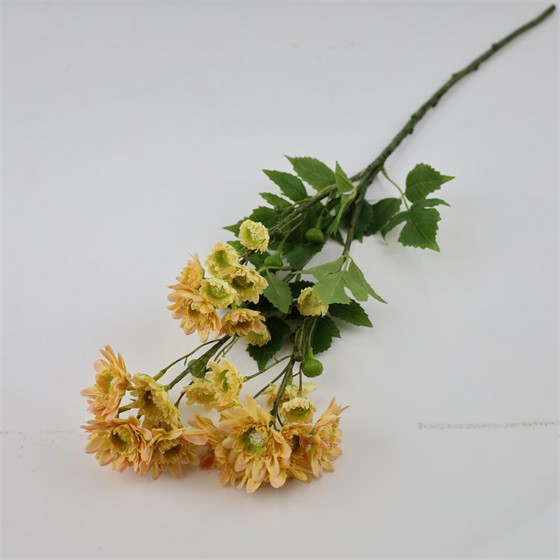 Krizantema 80cm antik krem