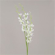 Orhideja cymbidium 95cm bijela