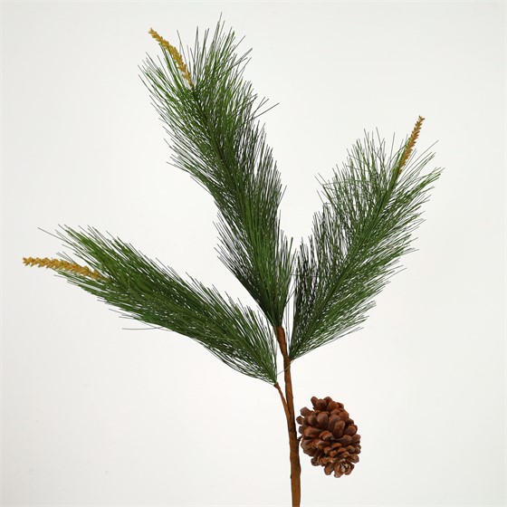 Grana bora sa češerom 121cm
