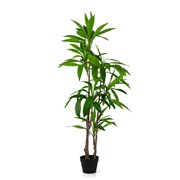 Umjetno drvo Cordyline 140 cm zelena