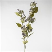 Hortenzija divlja 93cm lila siva suha