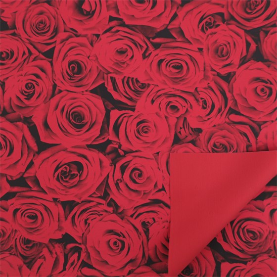 Arak kartopak Flamenco 70x100cm 10kom crvena
