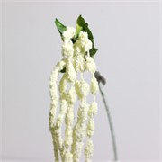 Amarant/štir 122cm krem