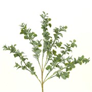 Grm, Melisa 56cm sivo zelena