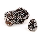 Šišarke x6kom zasnježene - 10cm smeđa