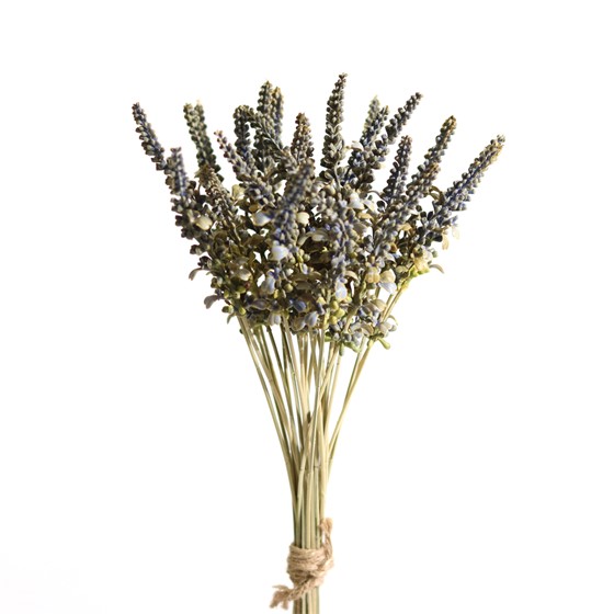 Lavanda x24 suha 44cm sv.ljubičasta