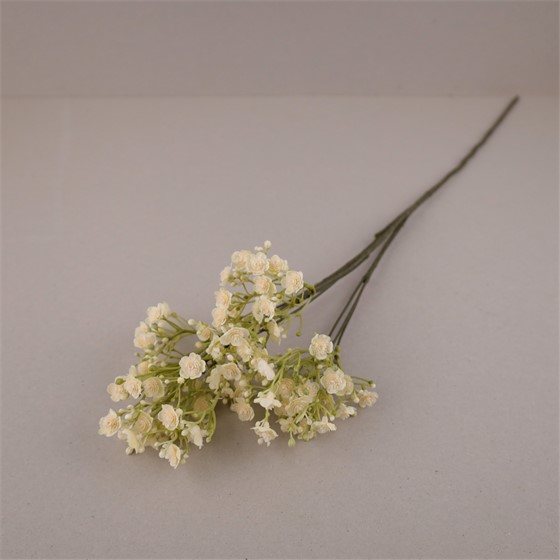 Gipsofilija suha 70cm krem