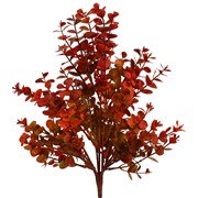 Eukaliptus grm 46cm crvena/smeđa/zelena