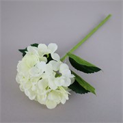 Hortenzija 54cm krem