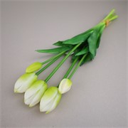 Tulipan x5 47cm bijela