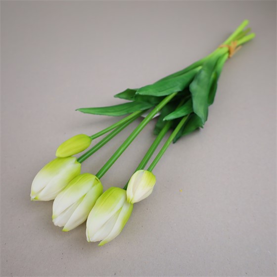 Tulipan x5 47cm bijela