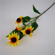 Ehinacea/rudbekija x5 75cm žuta/narančasta