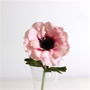 Anemona 35cm sv.roza