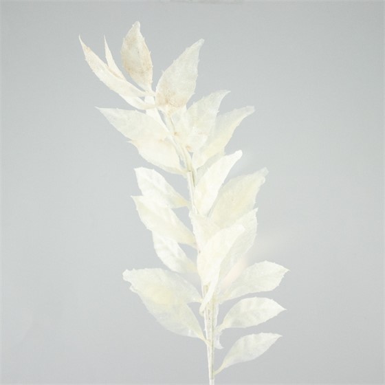 Grana bijela 67cm