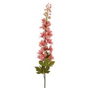 Delphinium/Kokotić suhi 79cm roza