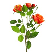 Ruže 3c+1p 65cm narančasta