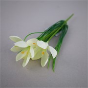 Krokus/Šafran x3 30cm bijela