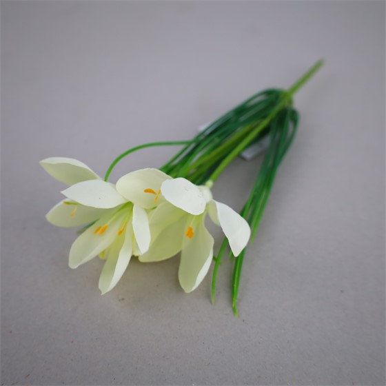 Krokus/Šafran x3 30cm bijela