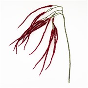 Amaratnt/štir 91cm bordo