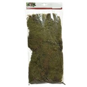 Mahovina 22x3xh44cm moss natur zelena