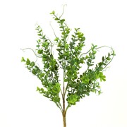 Eukaliptus grm 56cm zelena/plava