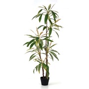 Umjetno drvo Cordyline 140cm zelena/bijela/crvena