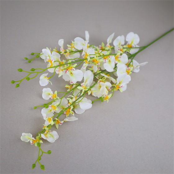 Orhideja Oncidium 102cm bijela