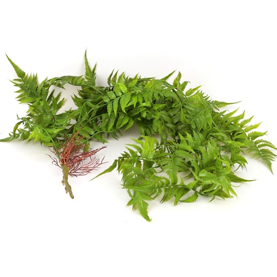 Grm, viseće umjetno zelenilo paprat 110cm t.zelena
