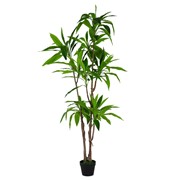 Umjetno drvo Cordyline 170cm zelena/sv.zelena