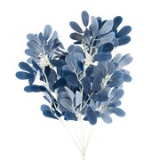 Grana eukaliptus 50cm plava