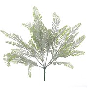 Metasekvoja grm zasnježena 38cm