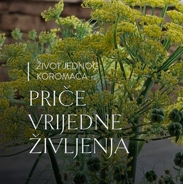 Priča 02 · Život jednog koromača