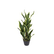 Umjetno drvo Sanseveria 83cm